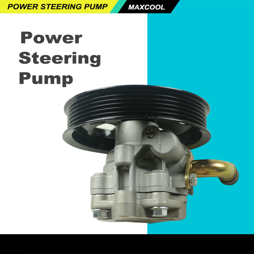 Power Steering Pump For Holden VZ Commodore Calais Statesman Caprice WL